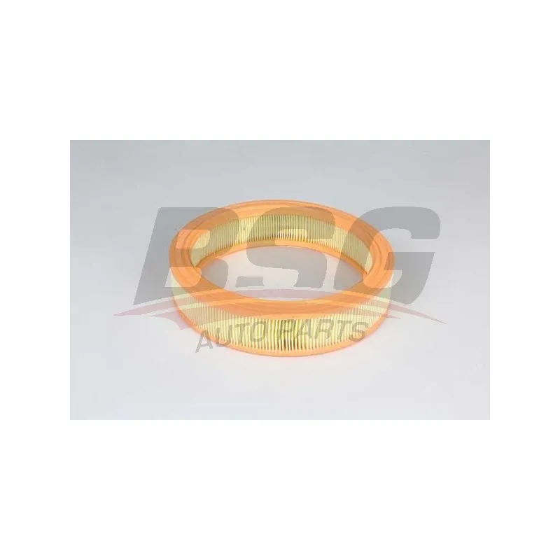 Filtre à air BSG BSG 25-135-010