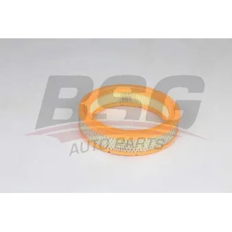 Filtre à air BSG BSG 25-135-012