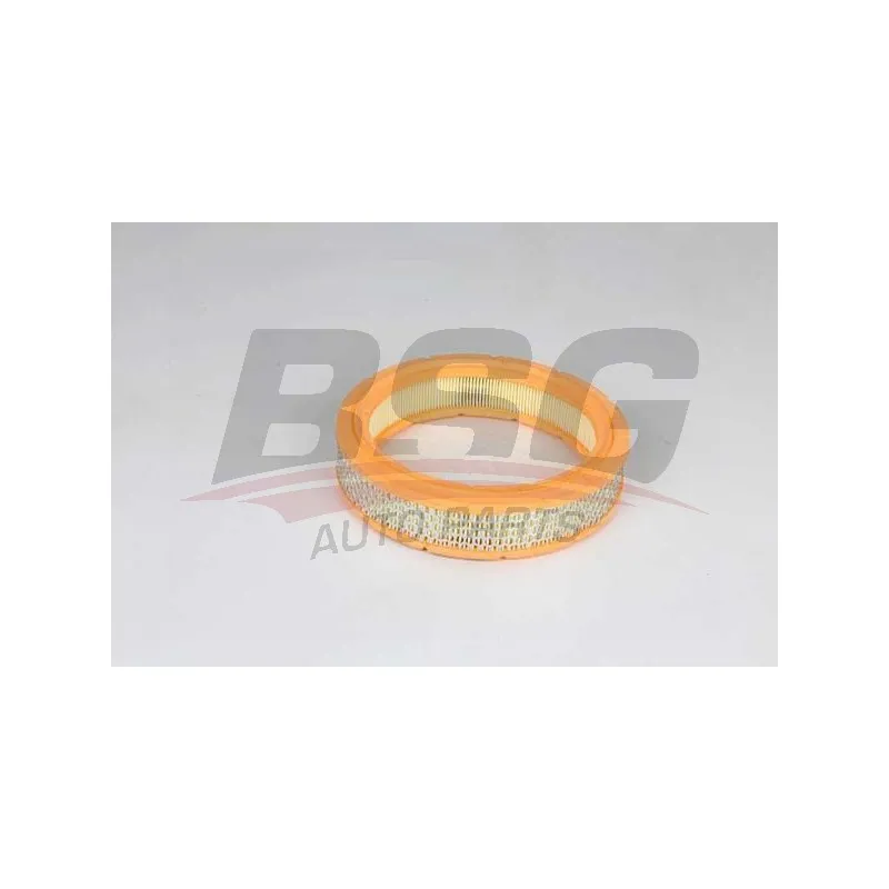 Filtre à air BSG BSG 25-135-012