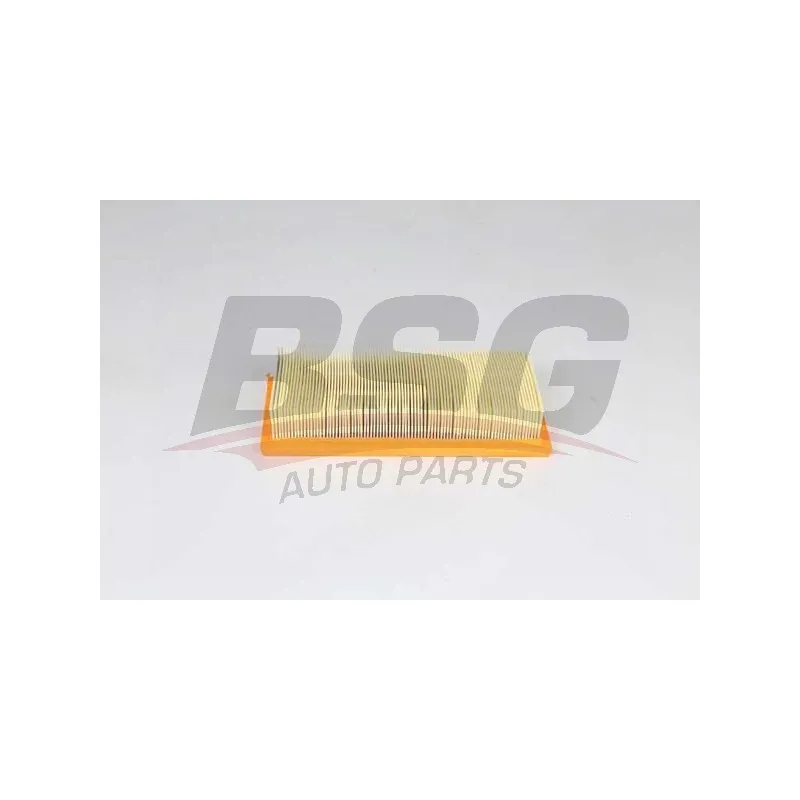 Filtre à air BSG BSG 25-135-013