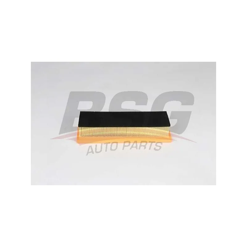 Filtre à air BSG BSG 25-135-014