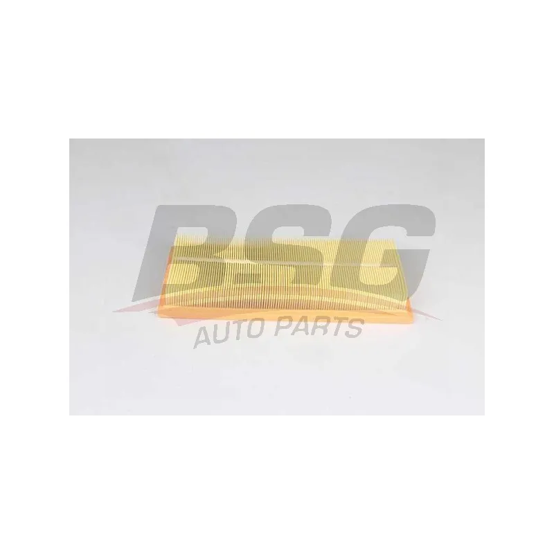 Filtre à air BSG BSG 25-135-015