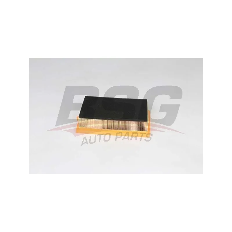 Filtre à air BSG BSG 25-135-017
