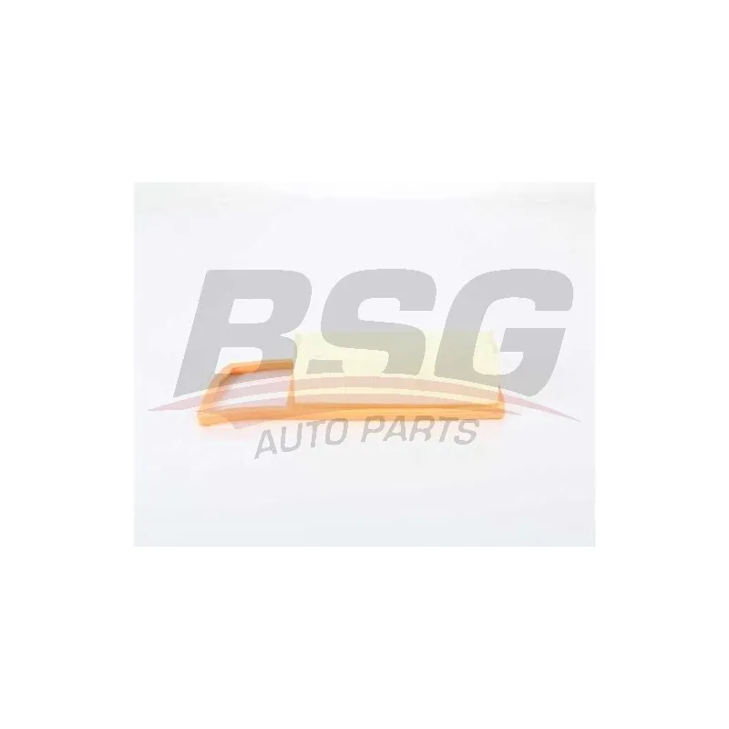 Filtre à air BSG BSG 25-135-020