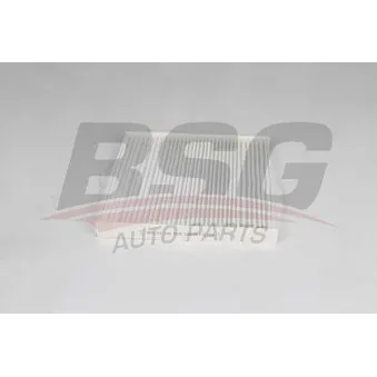 Filtre, air de l'habitacle BSG BSG 25-145-005