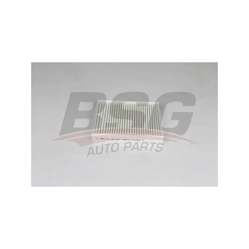 Filtre, air de l'habitacle BSG BSG 25-145-007