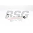 Entretoise/tige, stabilisateur BSG BSG 25-310-047 - Visuel 1