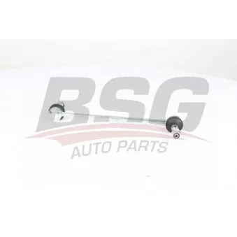 Entretoise/tige, stabilisateur BSG BSG 25-310-047