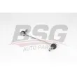 Entretoise/tige, stabilisateur BSG BSG 25-310-047 - Visuel 2