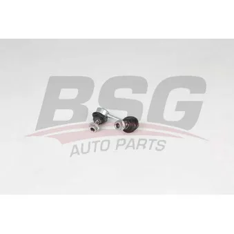 Entretoise/tige, stabilisateur BSG BSG 25-310-048