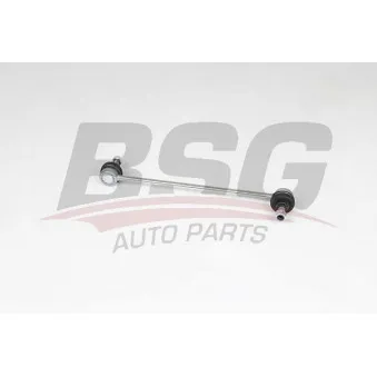 Entretoise/tige, stabilisateur BSG BSG 25-310-049
