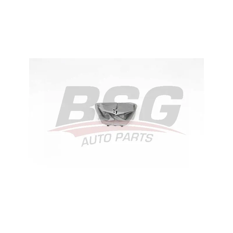 Garnissage de levier de changement de vitesse BSG BSG 25-467-003