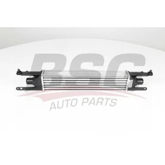 Intercooler, échangeur BSG BSG 25-535-003
