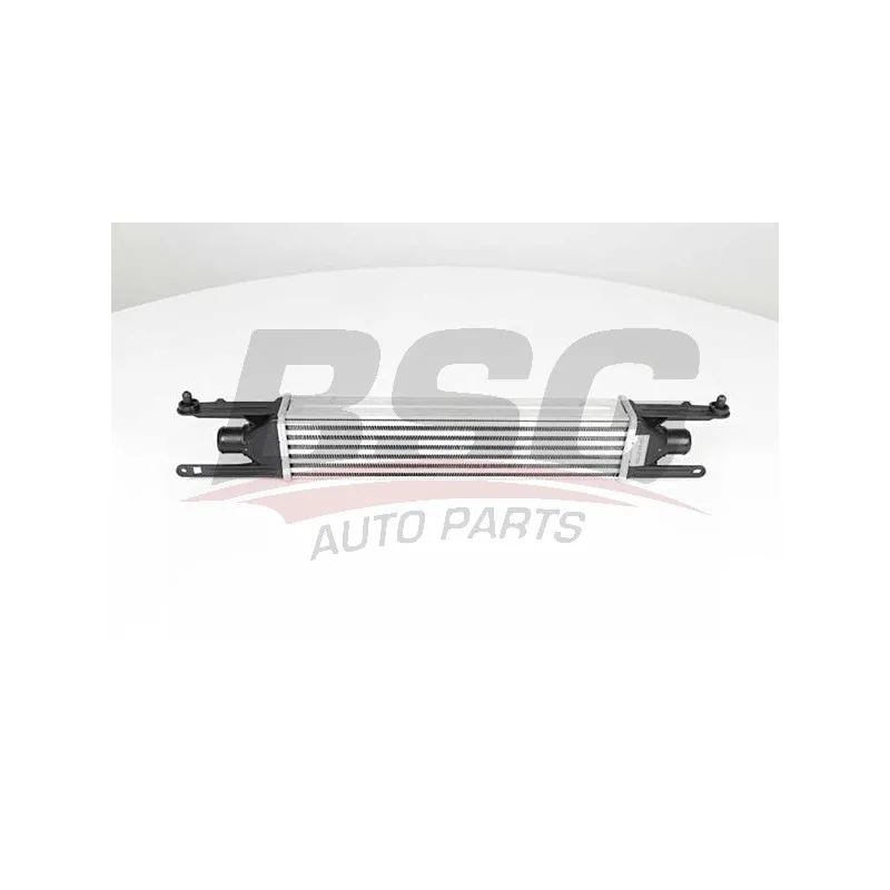 Intercooler, échangeur BSG BSG 25-535-003