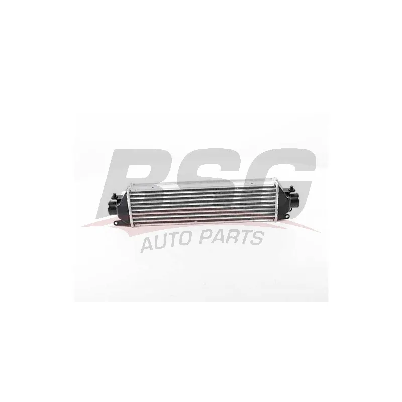 Intercooler, échangeur BSG BSG 25-535-005