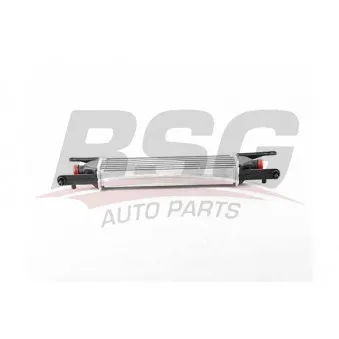 Intercooler, échangeur BSG BSG 25-535-008
