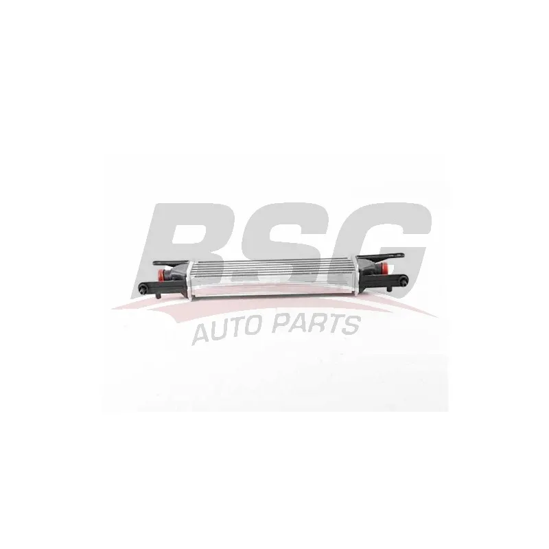 Intercooler, échangeur BSG BSG 25-535-008