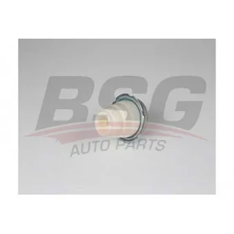 Butée élastique, suspension BSG BSG 25-700-009
