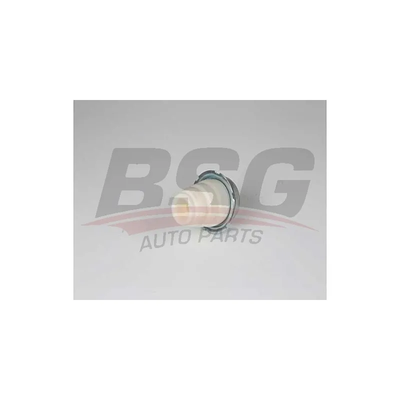 Butée élastique, suspension BSG BSG 25-700-009
