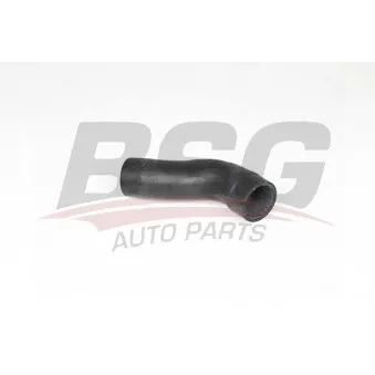 Gaine de suralimentation BSG BSG 25-720-043