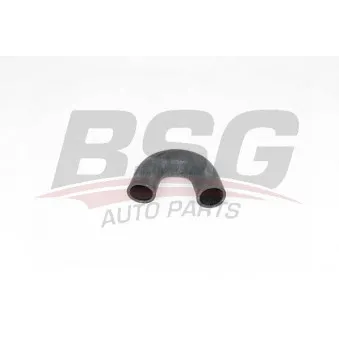 Tuyau d'aspiration, alimentation d'air BSG BSG 25-720-044