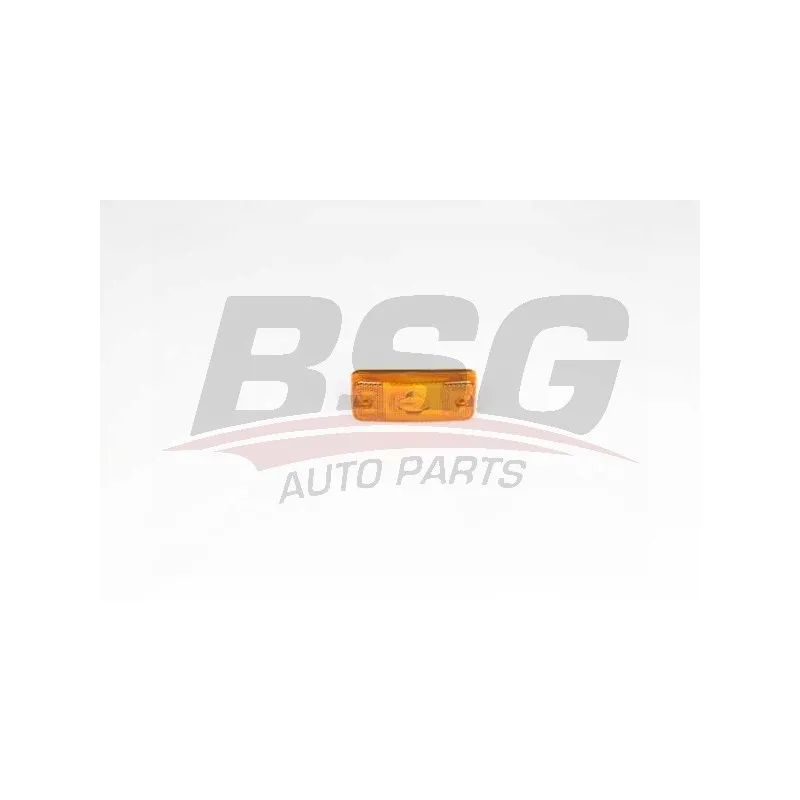 Feu clignotant BSG BSG 25-805-028