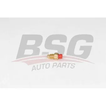 Sonde de température, liquide de refroidissement BSG BSG 25-840-012