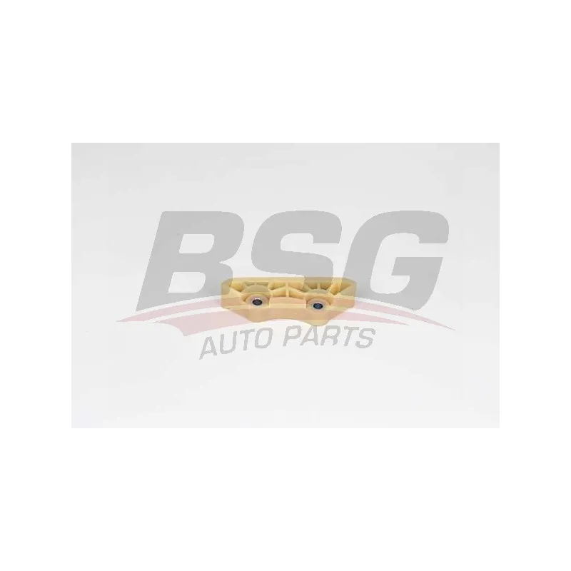 Coulisse, chaîne de distribution BSG BSG 30-109-018