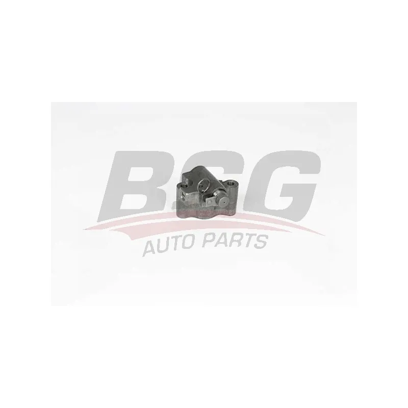 Tendeur, chaîne de distribution BSG BSG 30-109-023