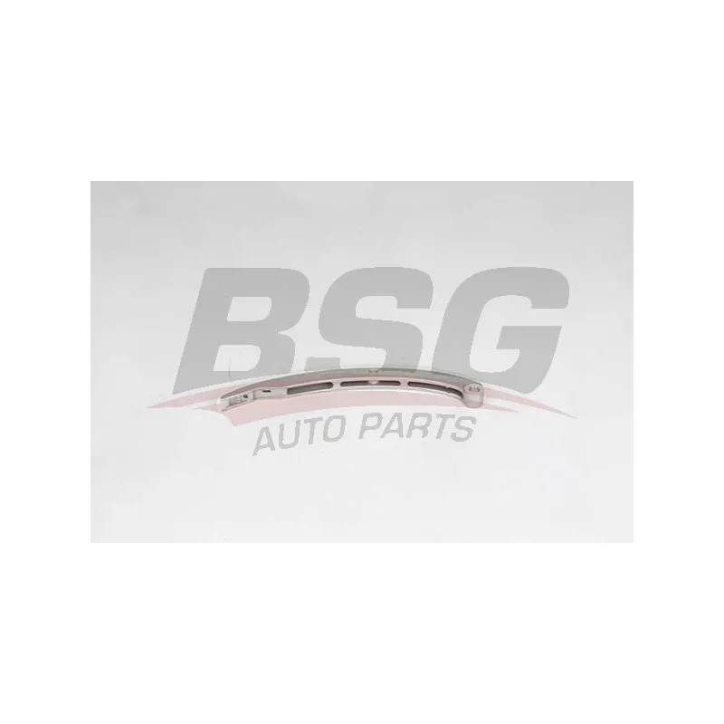Coulisse, chaîne de distribution BSG BSG 30-109-025