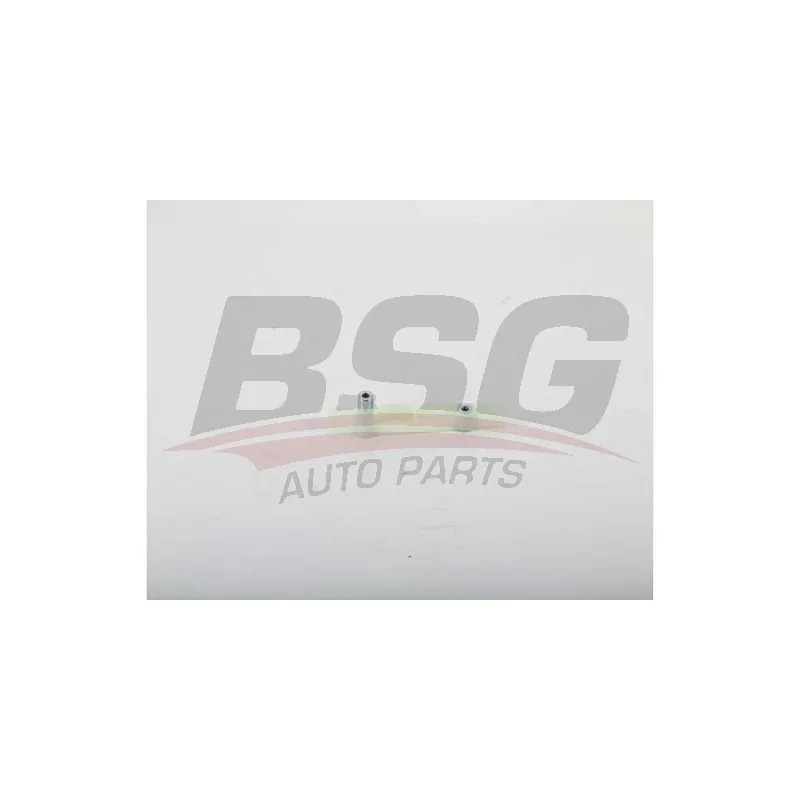 Coulisse, chaîne de distribution BSG BSG 30-109-041
