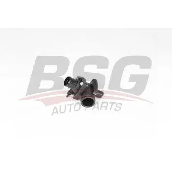 Thermostat d'eau BSG BSG 30-126-011