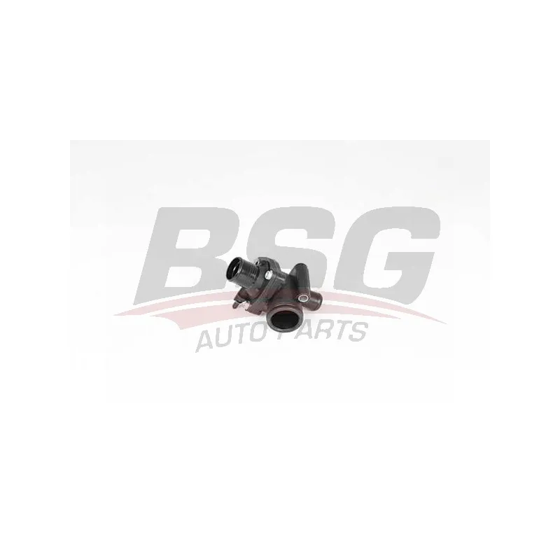 Thermostat d'eau BSG BSG 30-126-011