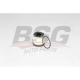 Filtre à carburant BSG BSG 30-130-017