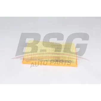 Filtre à air BSG BSG 30-135-029