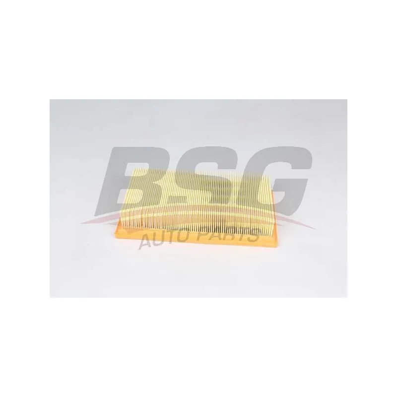Filtre à air BSG BSG 30-135-029