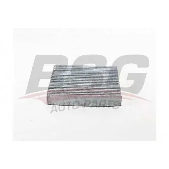 Filtre, air de l'habitacle BSG BSG 30-145-021
