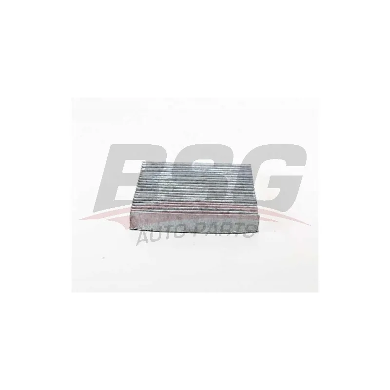 Filtre, air de l'habitacle BSG BSG 30-145-021