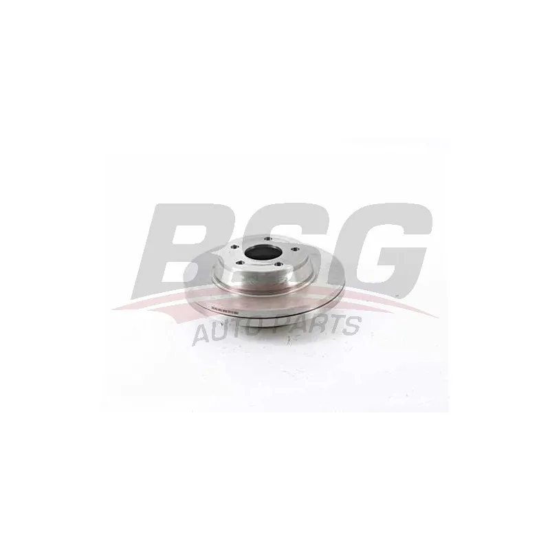 Jeu de 2 disques de frein arrière BSG BSG 30-210-049