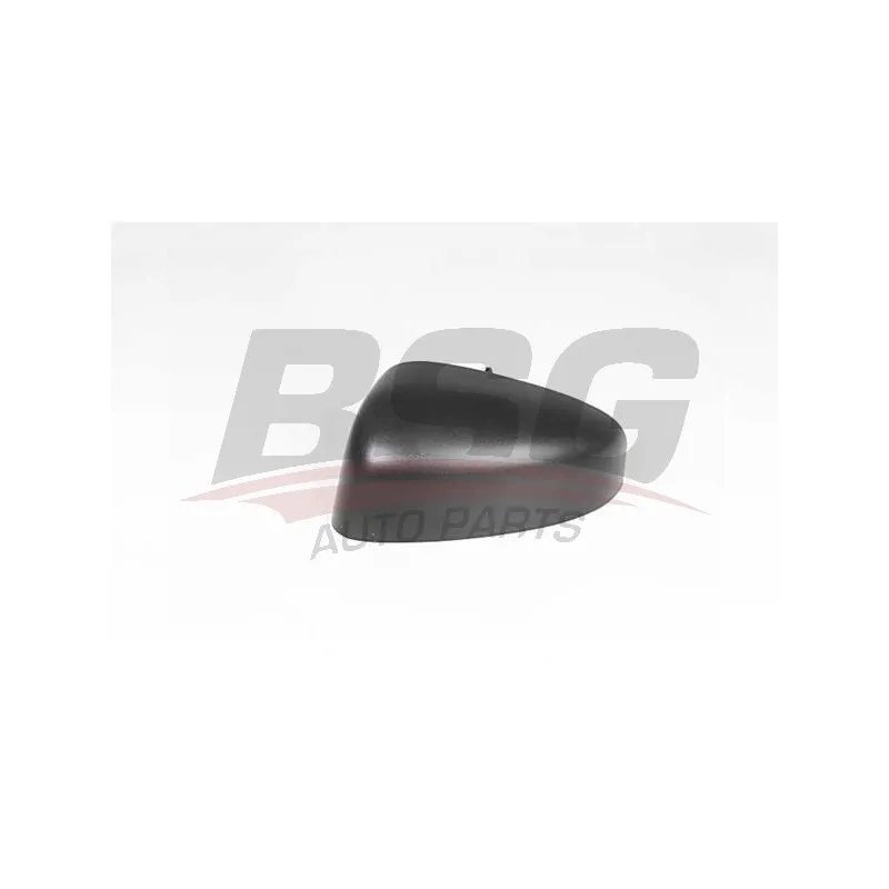 Revêtement, rétroviseur extérieur BSG BSG 30-915-028