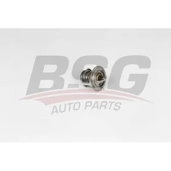 Thermostat d'eau BSG BSG 40-126-001