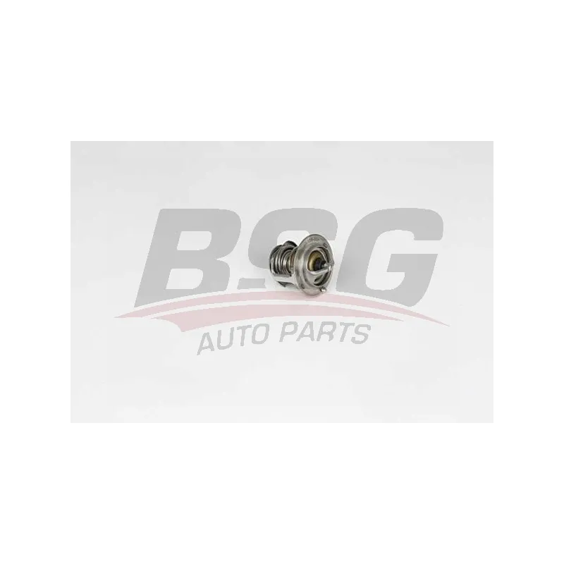 Thermostat d'eau BSG BSG 40-126-001