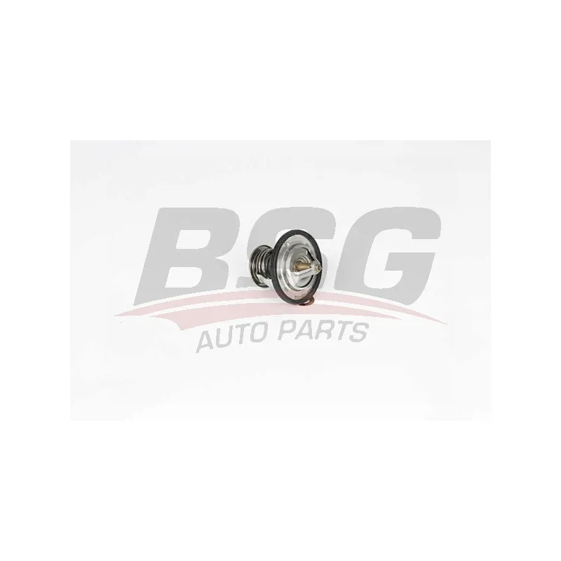 Thermostat d'eau BSG BSG 40-126-002