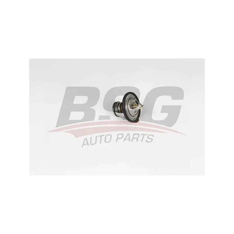 Thermostat d'eau BSG BSG 40-126-003