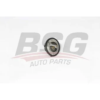 Thermostat d'eau BSG BSG 40-126-004