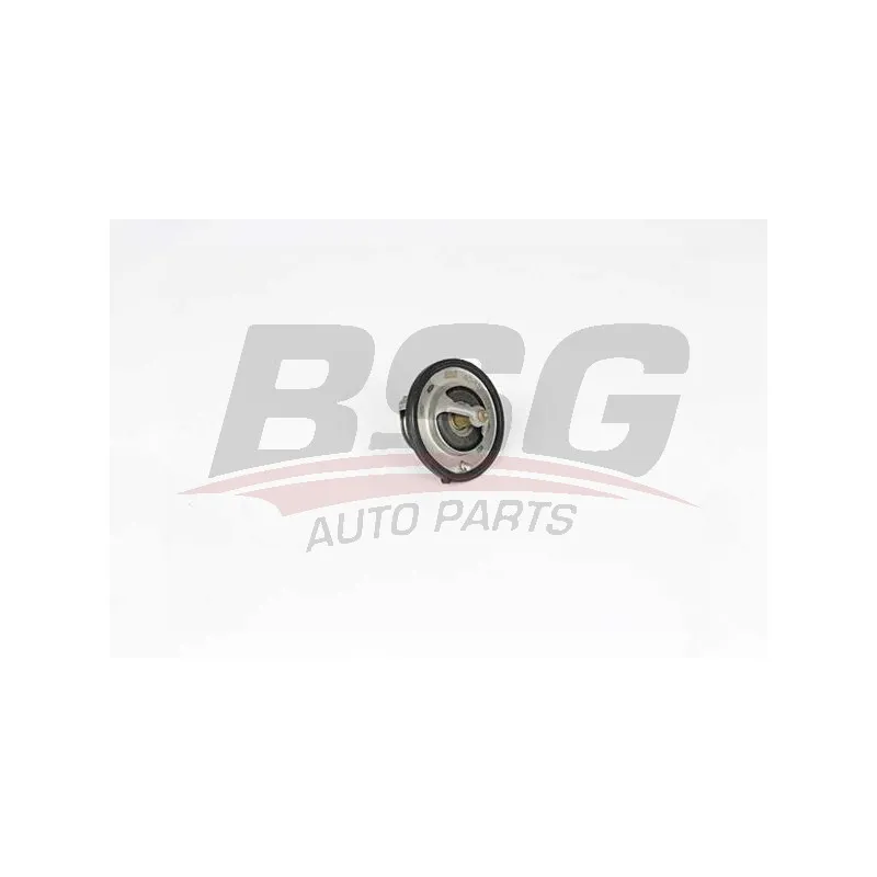Thermostat d'eau BSG BSG 40-126-004