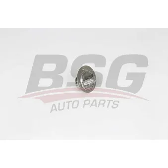 Thermostat d'eau BSG BSG 40-126-005