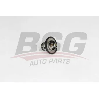 Thermostat d'eau BSG BSG 40-126-006