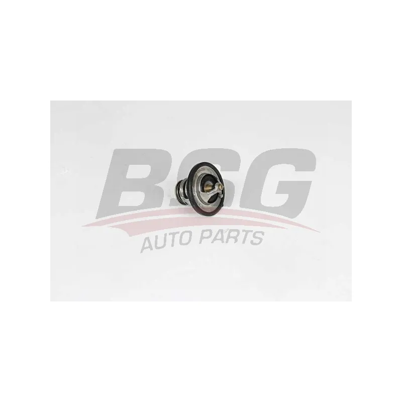 Thermostat d'eau BSG BSG 40-126-006