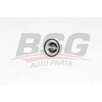 Thermostat d'eau BSG BSG 40-126-007